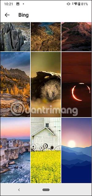 Як використовувати фотографії Bing як шпалери Android