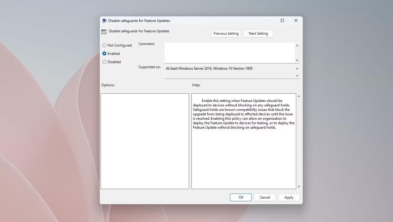 Vad är Safeguard Hold i Windows 11? Hur inaktiverar man det?