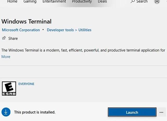 3 tapaa asentaa Windows Terminal Windows 10:een