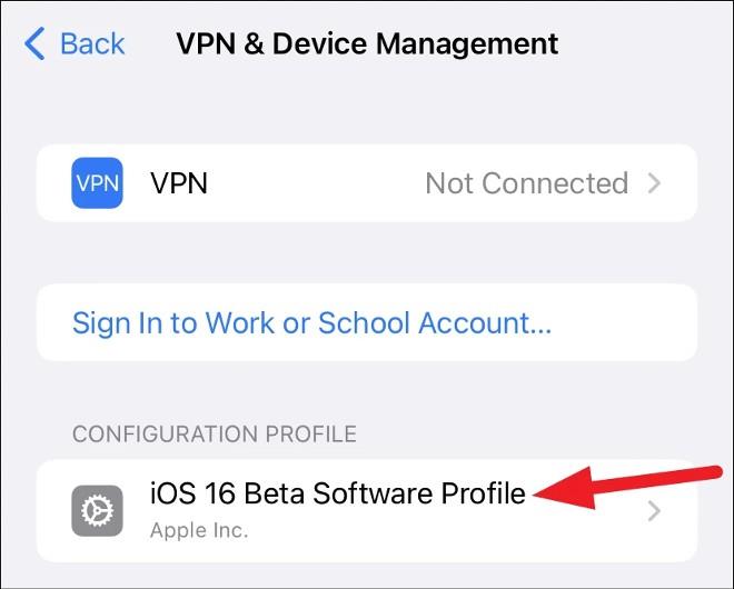 Sådan nedgraderes fra iOS 16 Beta 1 til iOS 15