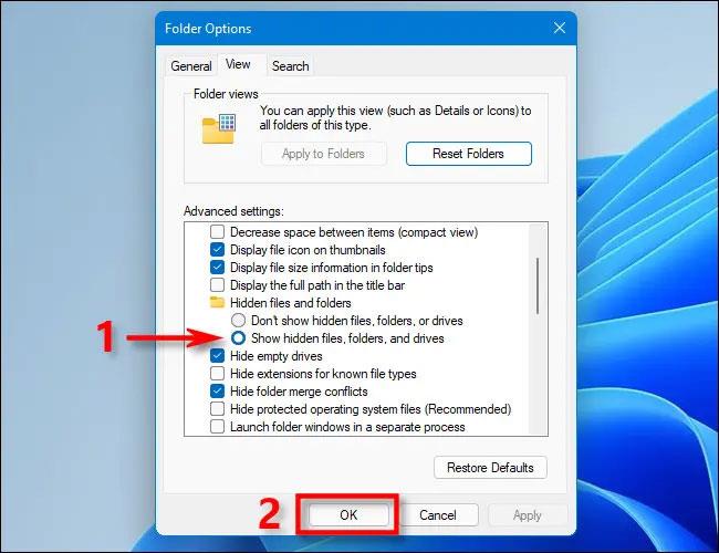 Sådan viser du beskyttede operativsystemfiler i Windows 11