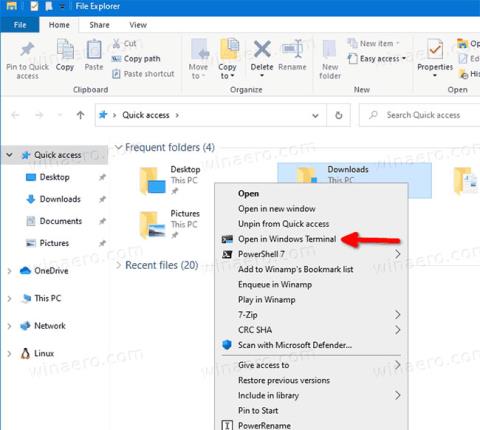 Kako dodati/ukloniti Otvorite u kontekstnom izborniku Windows terminala u sustavu Windows 10