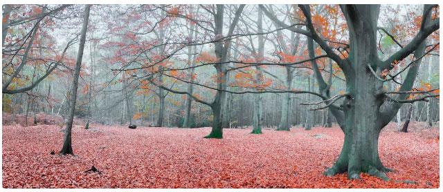 Geriausios fotografavimo programos iOS ir Android