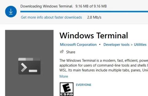 3 måder at installere Windows Terminal på Windows 10