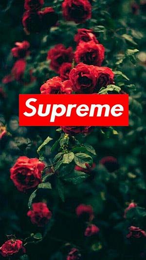 Supreme wallpapers, Supreme fotos til telefoner