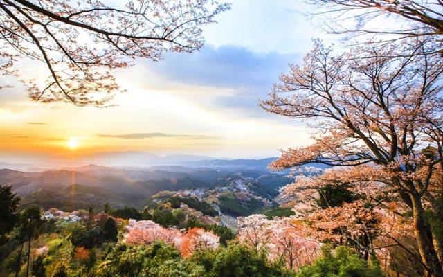 Last ned japansk bakgrunnsbilde for Windows 10