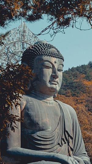 Buddha-baggrunde, smukke Buddha-billeder til telefoner