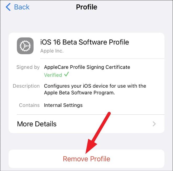 Hur man nedgraderar från iOS 16 Beta 1 till iOS 15