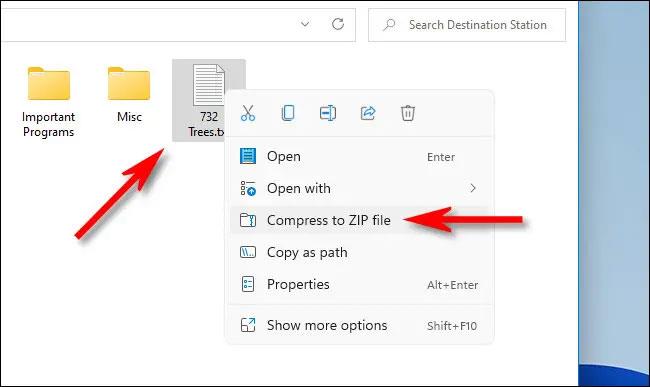 Failų glaudinimo ir išskleidimo instrukcijos sistemoje „Windows 11“.