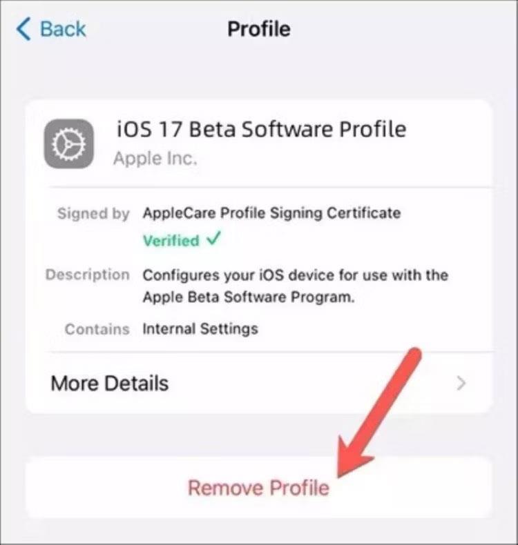 Як повернутися з iOS 17 до iOS 16 без втрати даних за допомогою Tenorshare Reiboot