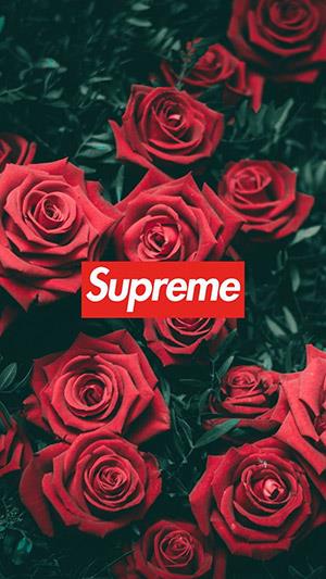 Supreme wallpapers, Supreme fotos til telefoner